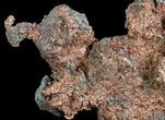 Natural, Native Copper Formation - Michigan (Special Price) #64761-4
